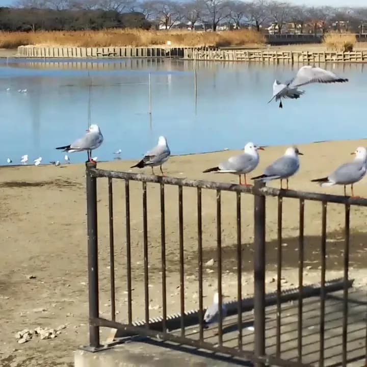 View of Kawagoe Green Park in Kawagoe, Saitama