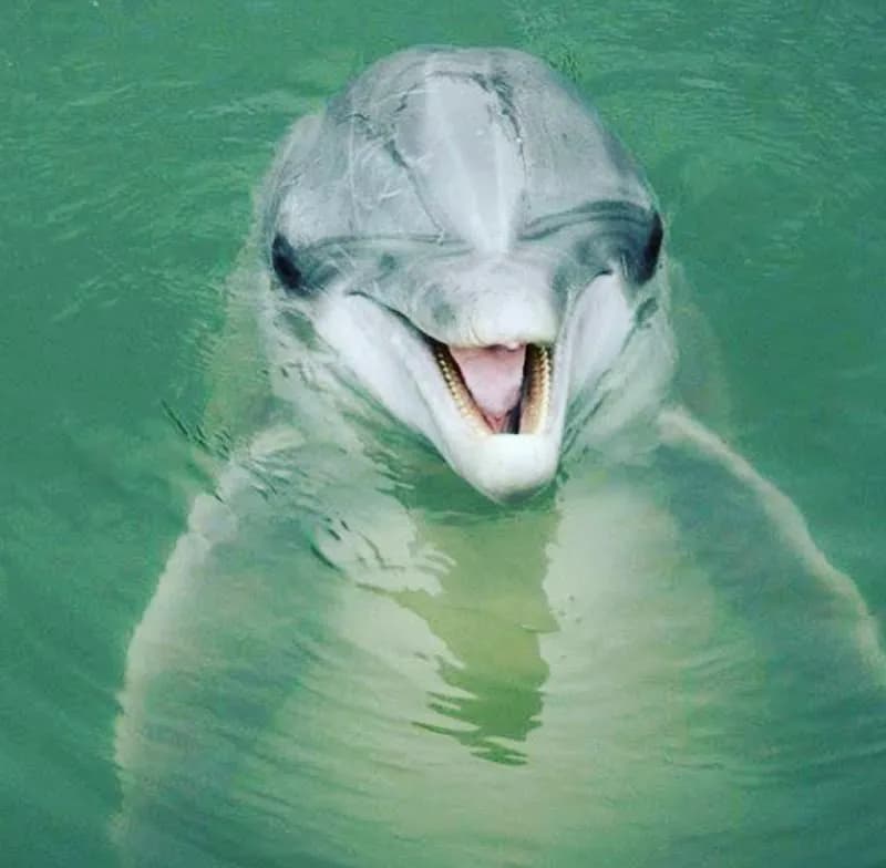 Kayak Hilton Head fishing charter in Hilton Head, SC