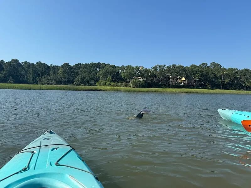 View of Kayak Hilton Head in Hilton Head, SC