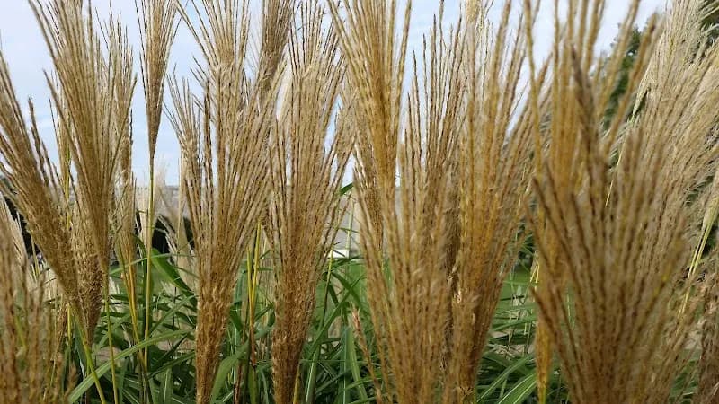 View of Kensico Dam Plaza in Westchester, NY