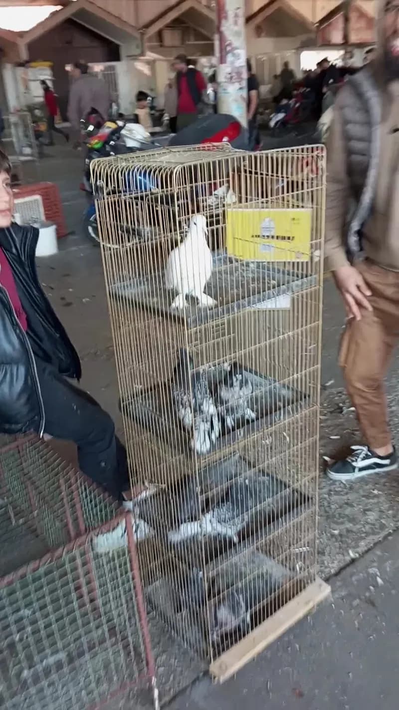 View of Kepez Kapalı Semt Pazarı in Kepez, Antalya