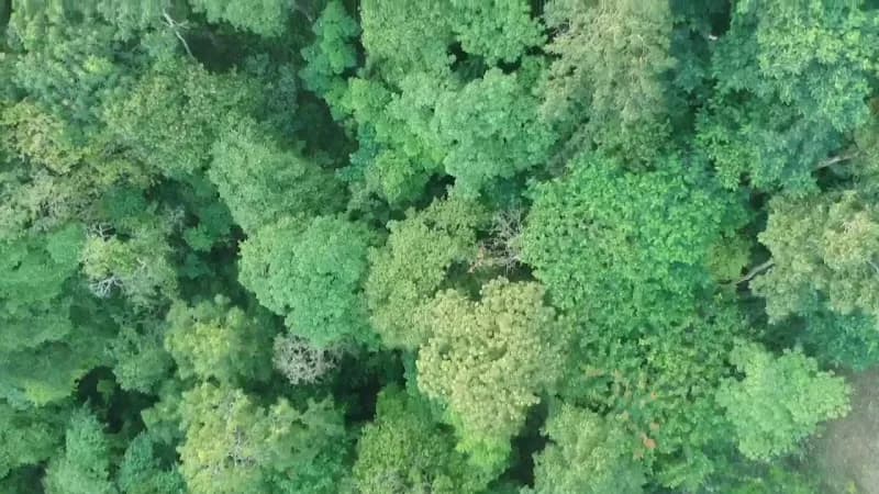 View of Khao Rang Viewpoint in Phuket, PKT