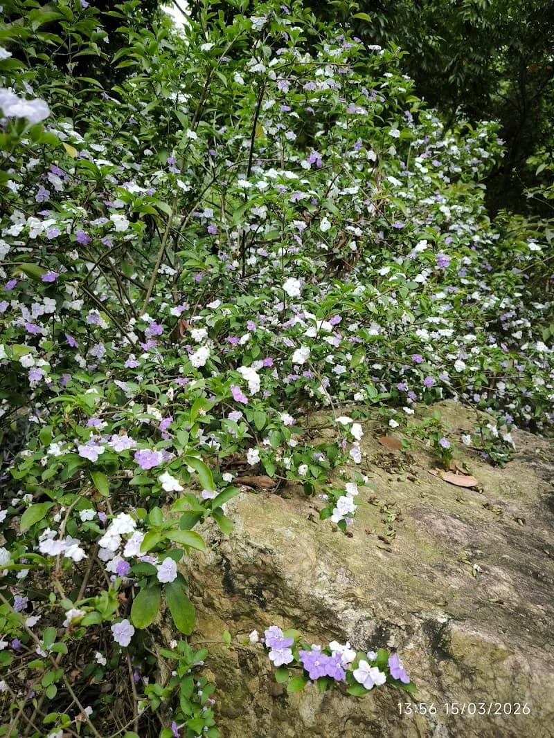 View of Khu du lịch sinh thái Bản Rõm in Sóc Sơn, HN