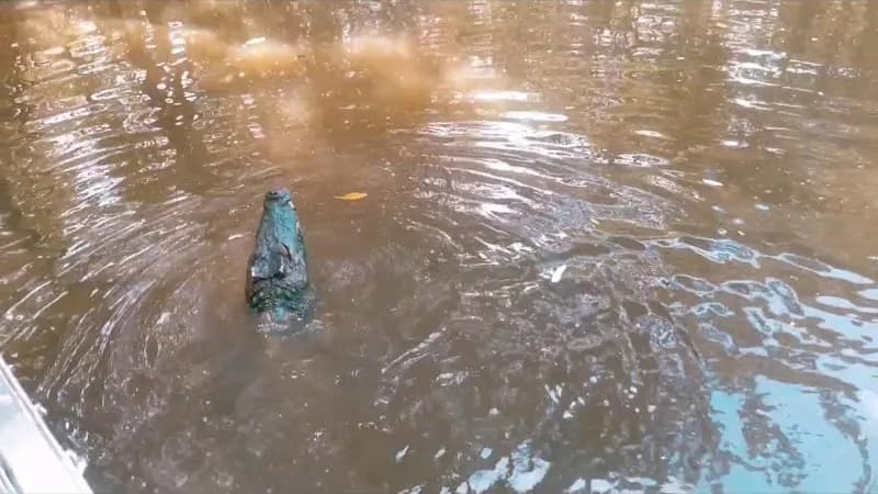 View of Khu Du Lịch Sinh thái Vàm Sát in Can Gio, HCMC