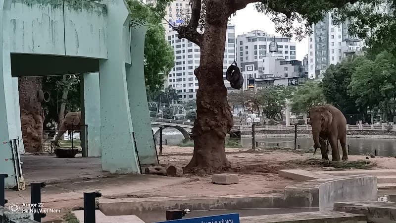 View of Khu vui chơi Cầu Vồng in Từ Liêm, HN