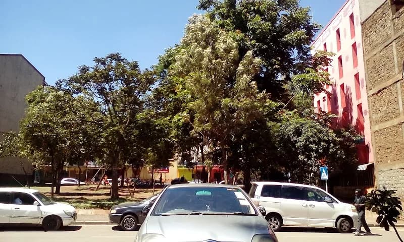 View of Kikuyu Park in Kikuyu, Nairobi