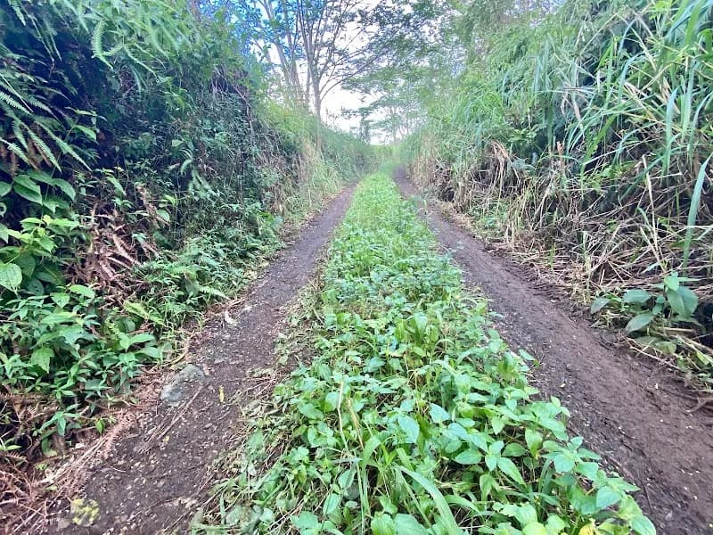 View of Kilohana Crater in Kauai, HI