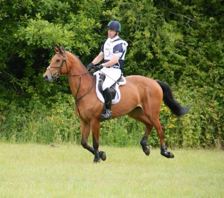 View of Kilronan Equestrian Centre in Swords, D