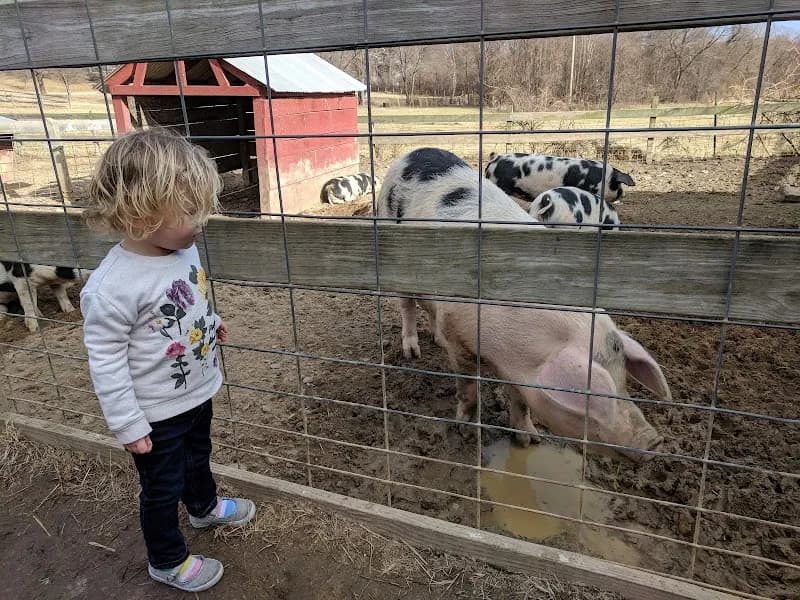 View of Kinder Farm Park in Glen Burnie, MD
