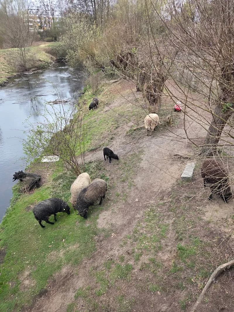 View of Kinderbauernhof Pinke-Panke in Tempelhof, BE