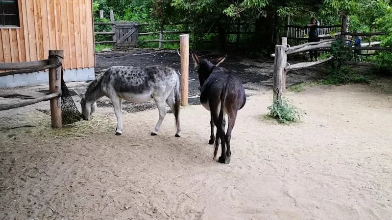 View of Kinderbauernhof Pinke-Panke in Tempelhof, BE