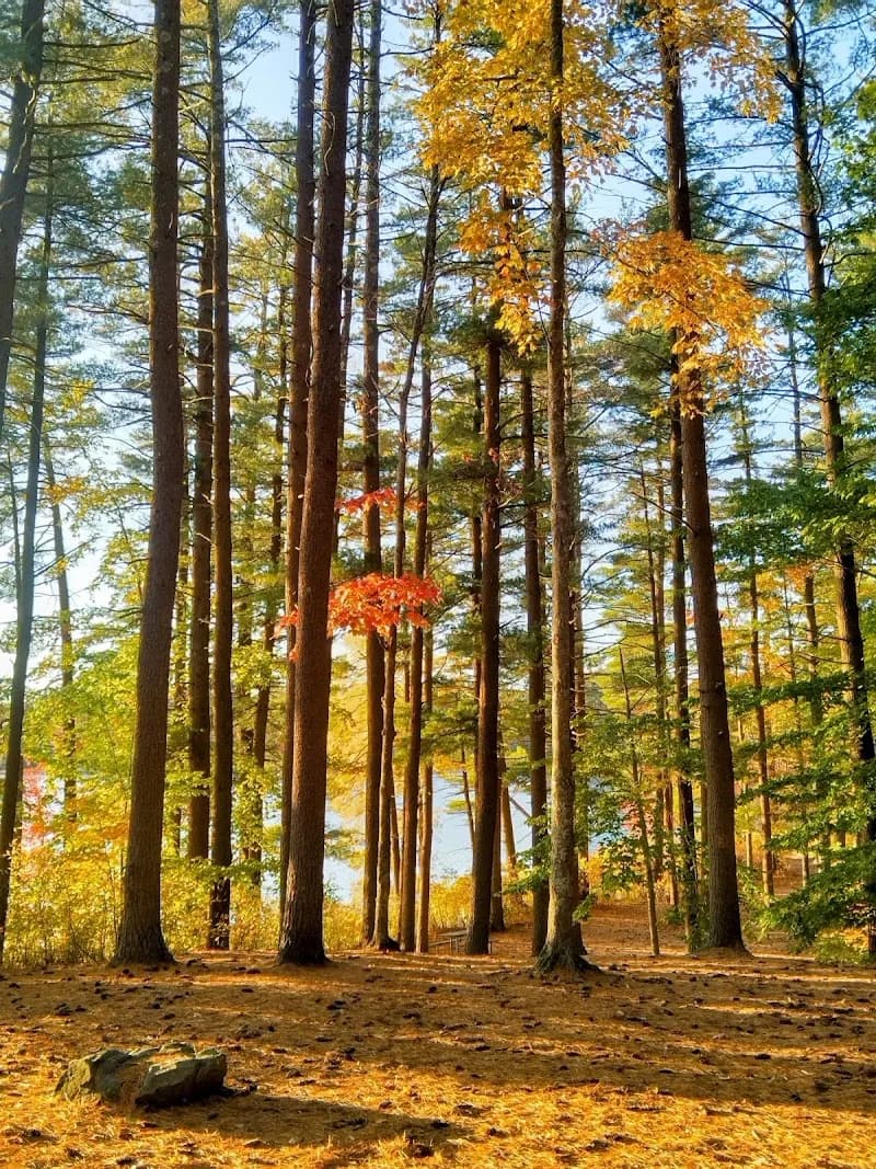 View of Kingston State Park in East Kingston, NH