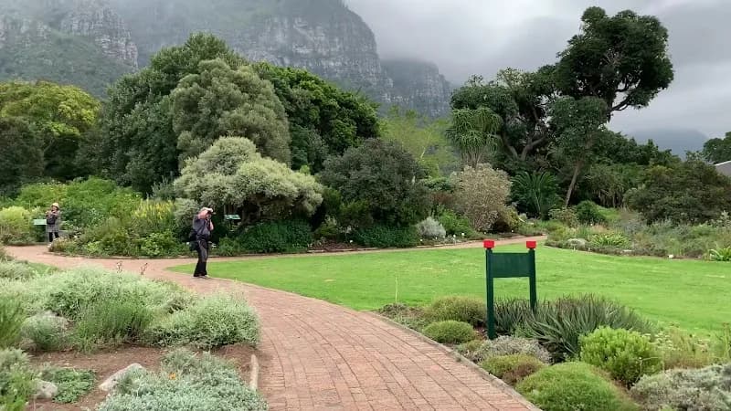 View of Kirstenbosch National Botanical Garden in Cape Town, WC