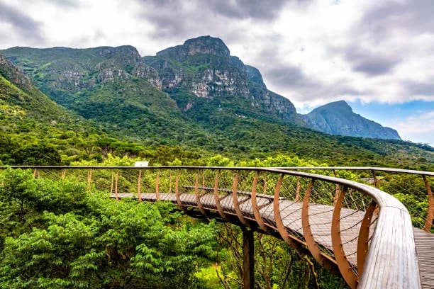 View of Kirstenbosch National Botanical Garden in Cape Town, WC