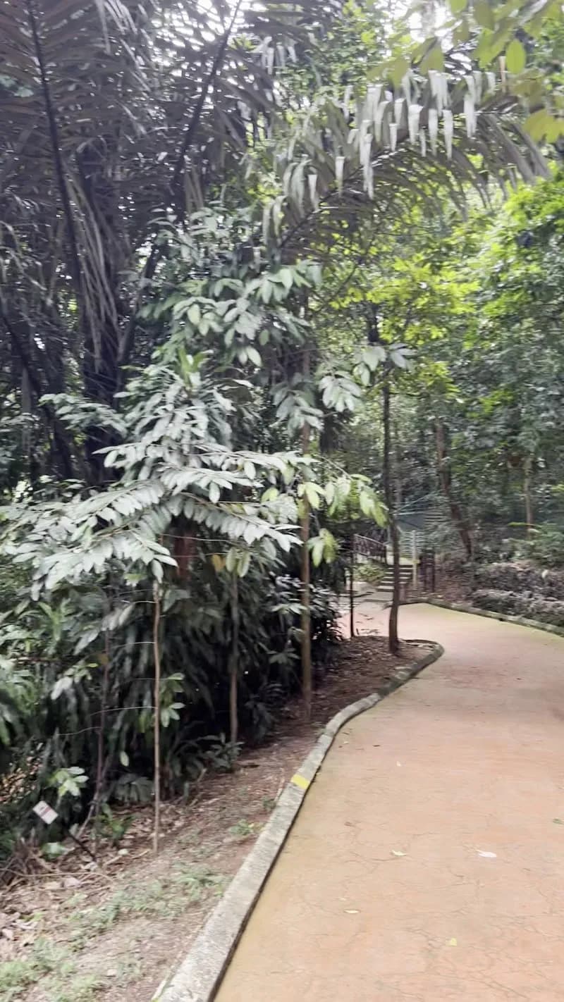 View of KL Forest Eco Park Canopy Walk in Kepong, KL