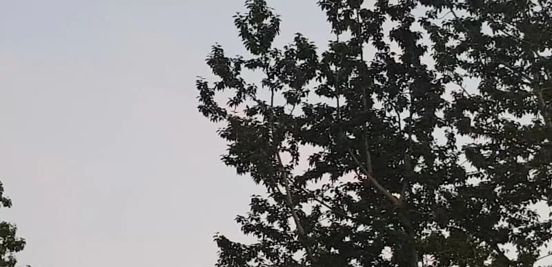 View of Klambratún in Sundhöllin, CR