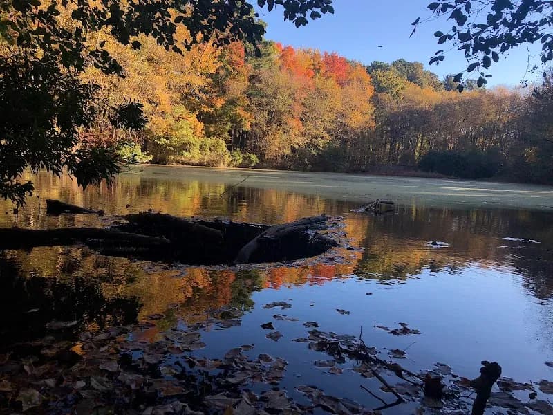 View of Knightdale Environmental Park in Knightdale, NC