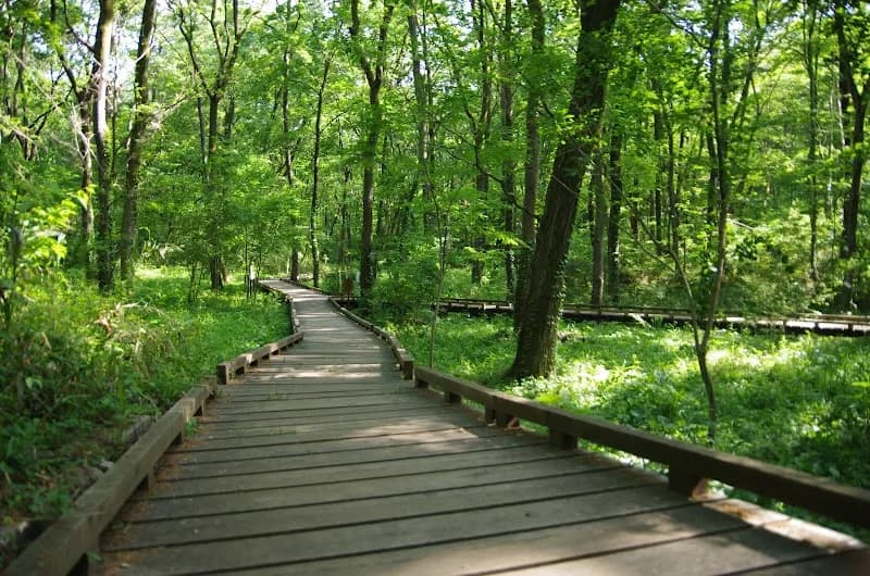 Komiya Park park in Hachioji, Tokyo