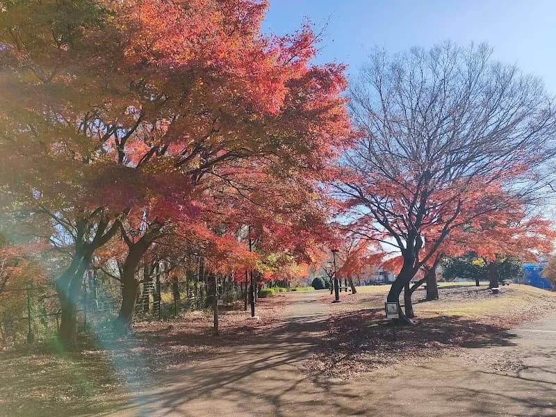 View of Komiya Park in Hachioji, Tokyo
