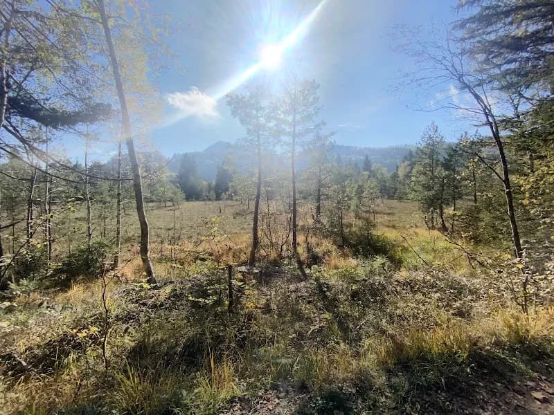 View of Koppl Meadow Picnic Area in Koppl, Salzburg