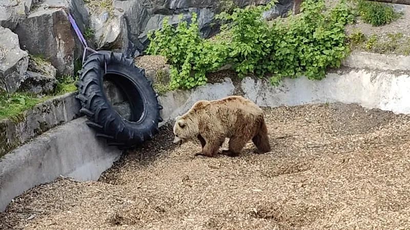 View of Korkeasaari Zoo in Helsinki, HEL