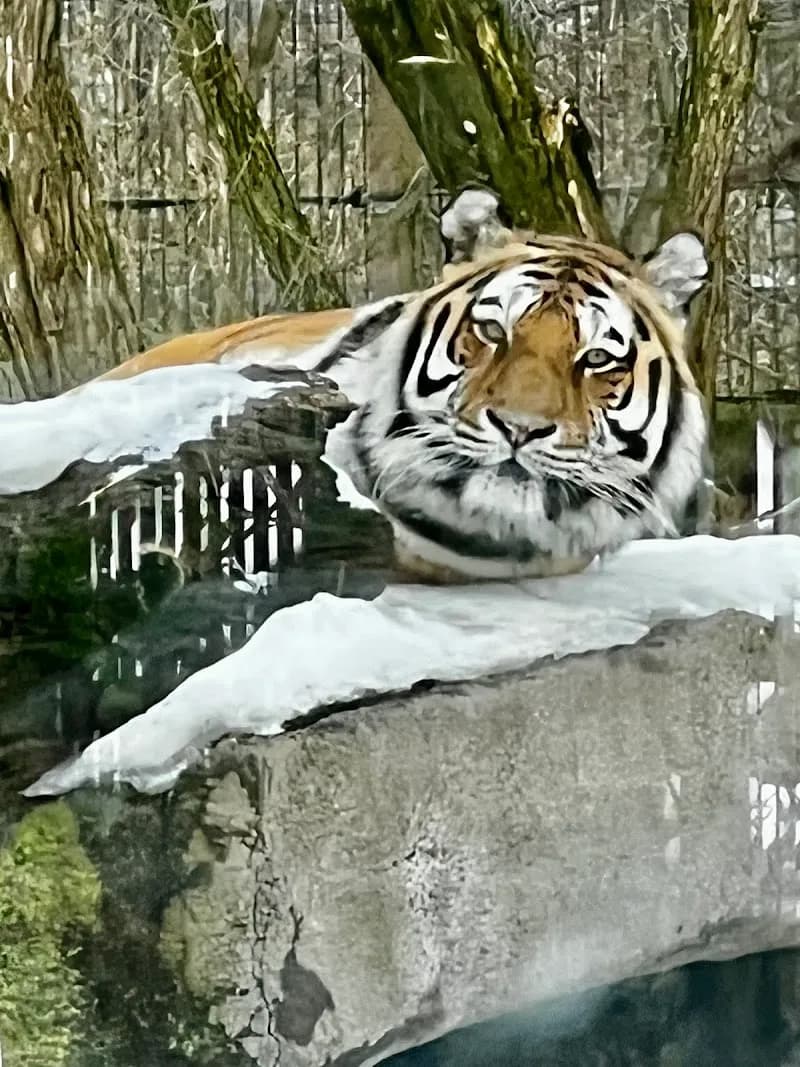 View of Korkeasaari Zoo in Helsinki, HEL