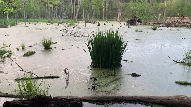View of Kortright Centre for Conservation in Vaughan, ON
