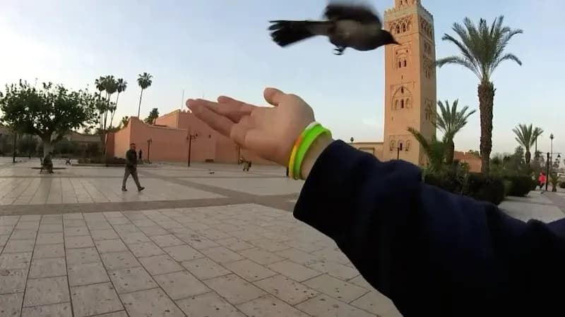 View of Koutoubia in Marrakech, MRK