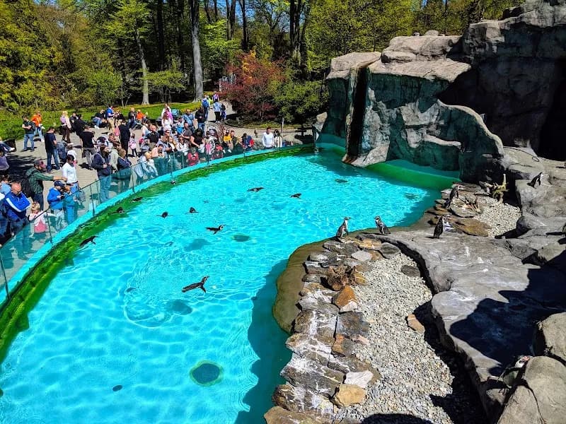 Kraków Zoo zoo in Krakow, MP