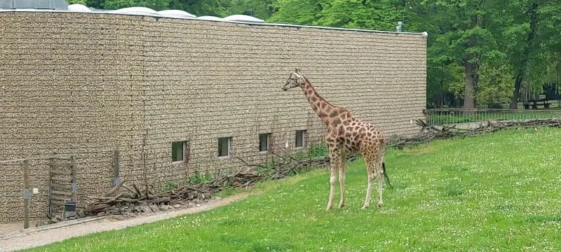 View of Kraków Zoo in Krakow, MP