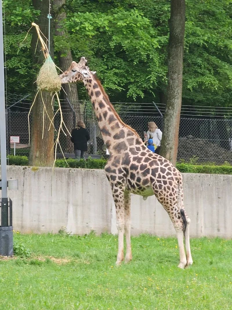 View of Kraków Zoo in Krakow, MP