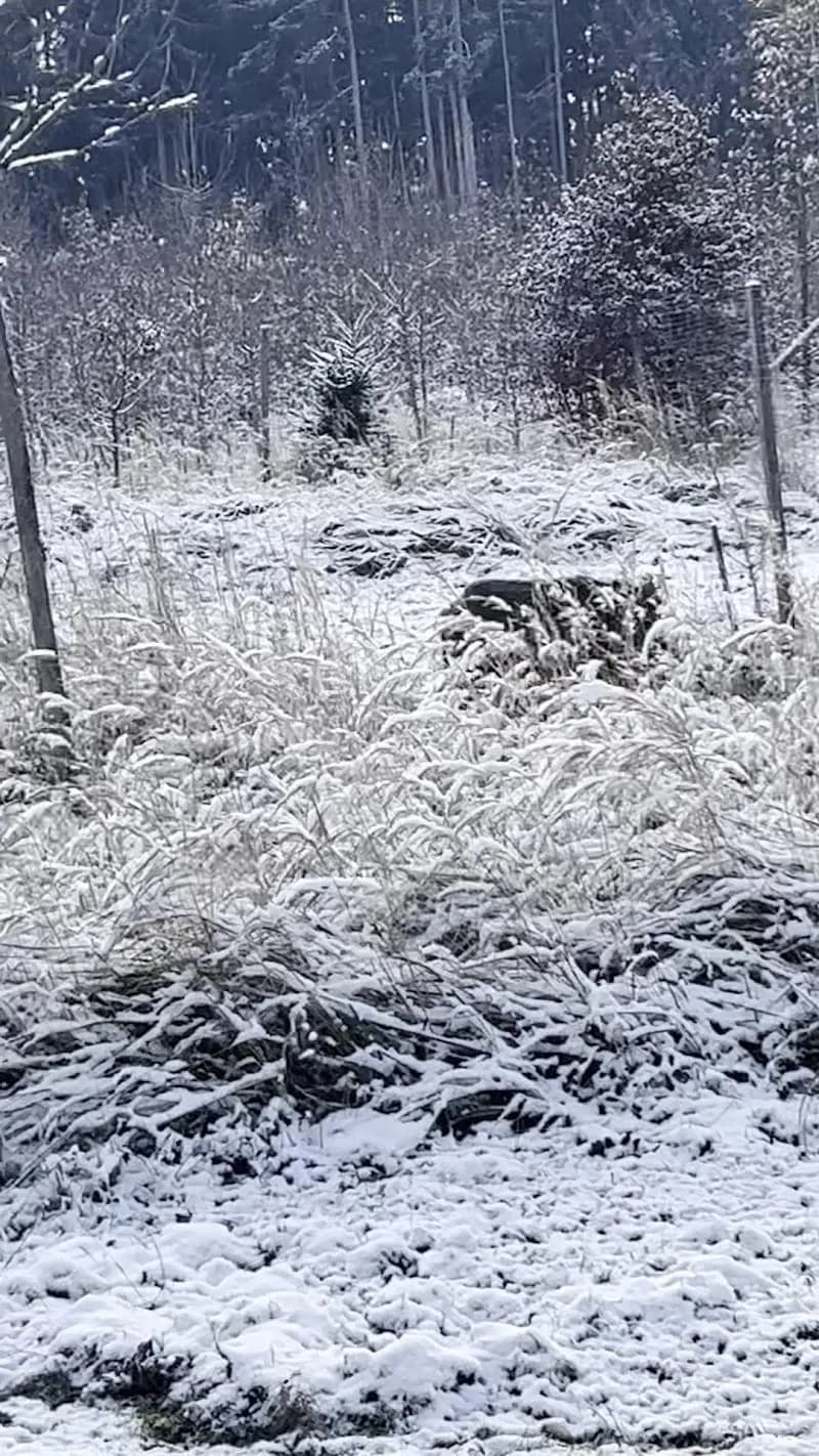 View of Kranzebach Stream Adventure Trail in Martinsried, BY