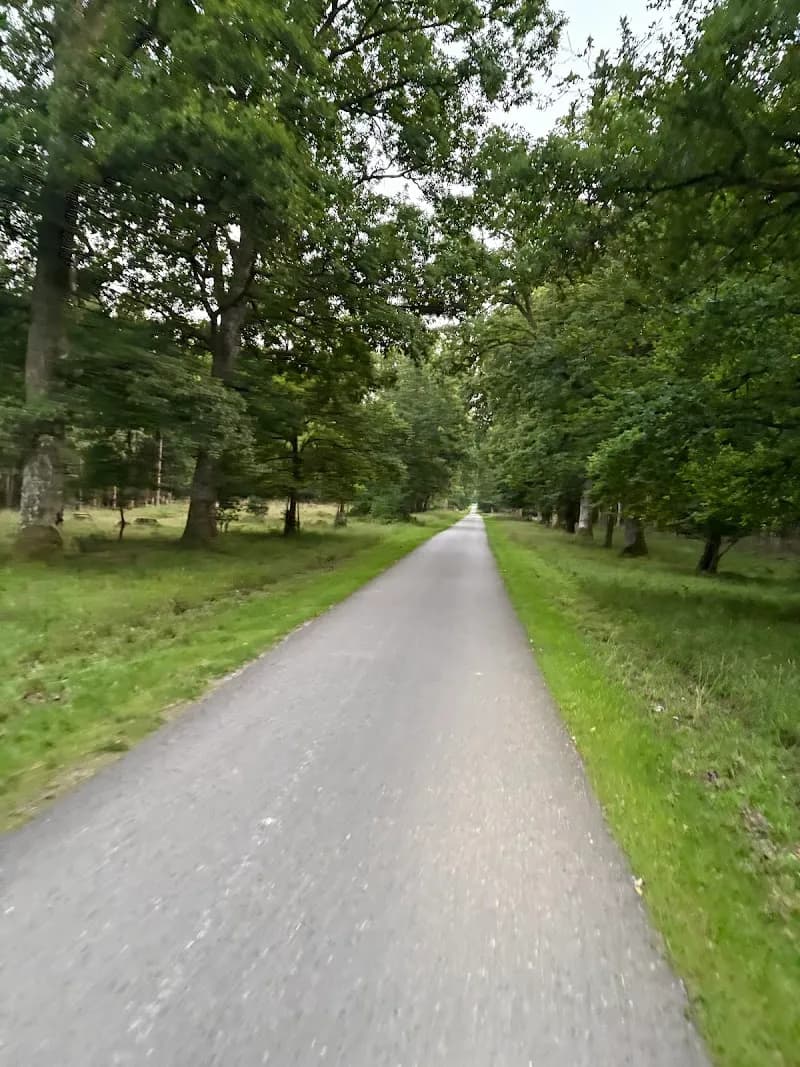 View of Kranzebach Stream Adventure Trail in Martinsried, BY