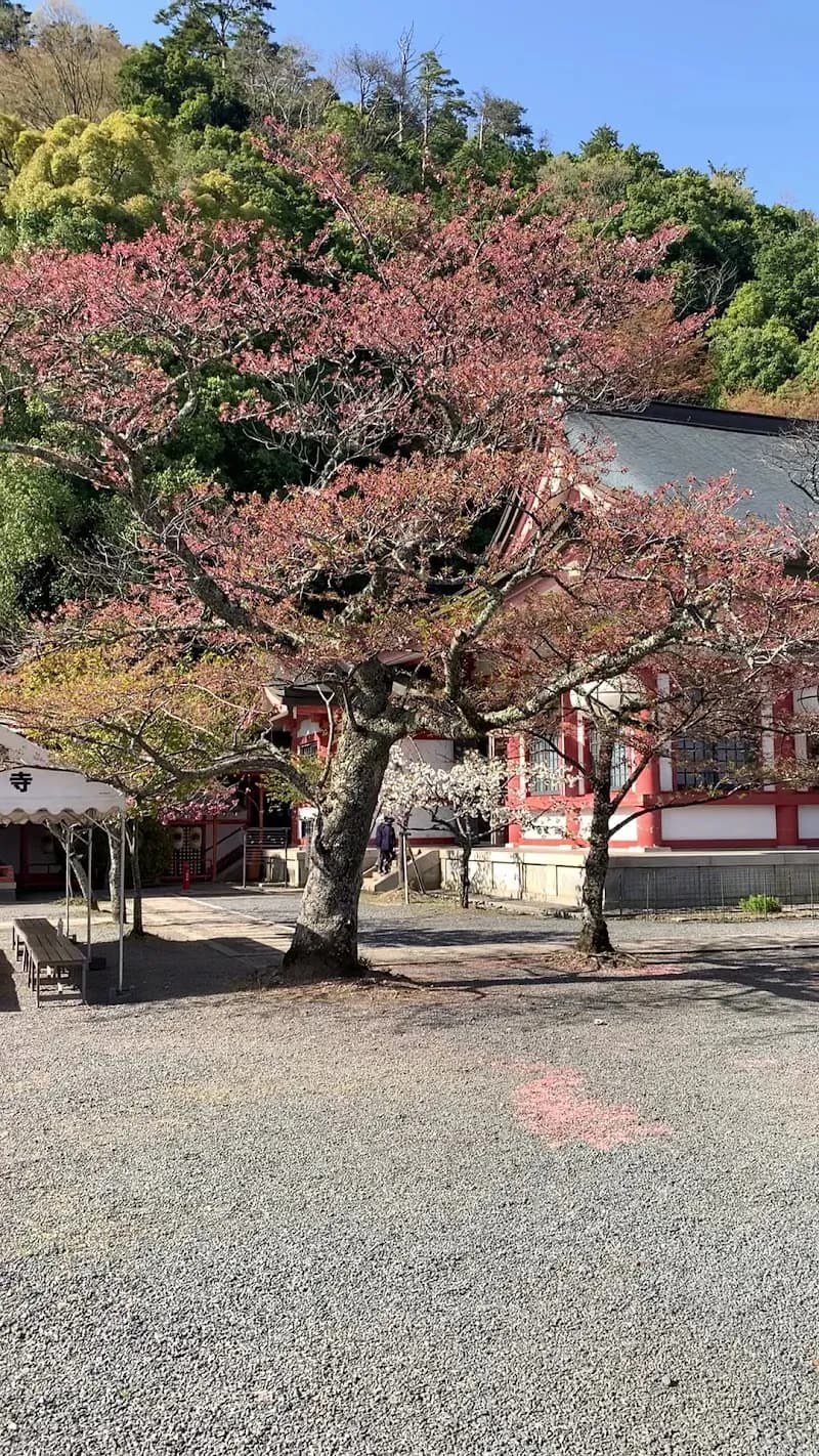 View of Kurama-dera Temple in Kurama, KYO