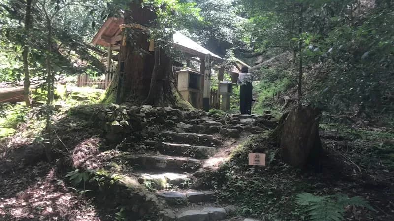 View of Kurama Forest Nature Center in Kurama, KYO