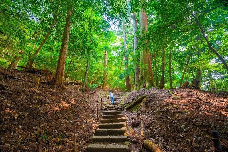 View of Kurama Forest Nature Center in Kurama, KYO