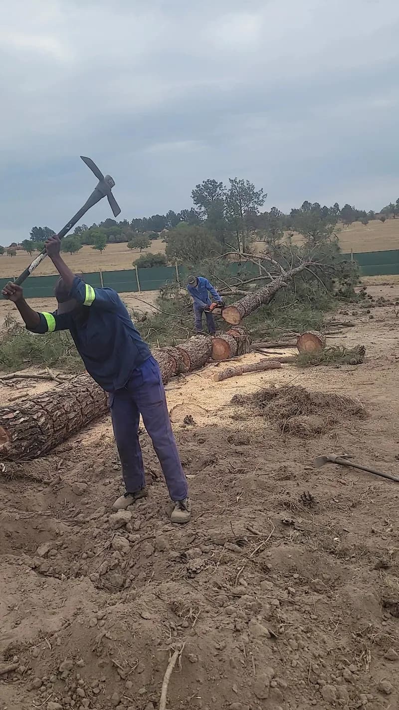 View of Kyalami Business Park in Kyalami, GP