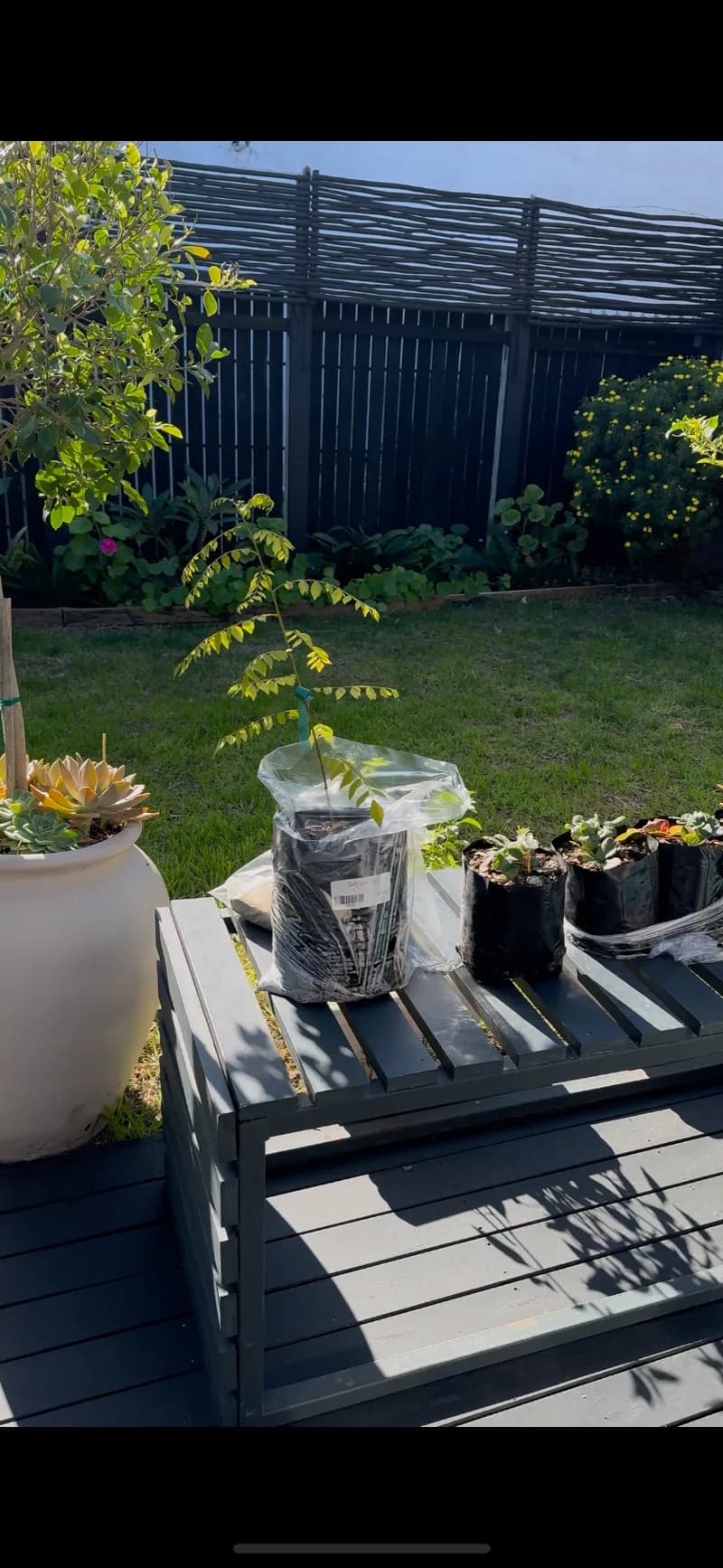 Kyalami Nursery and Garden Centre garden in Kyalami, GP