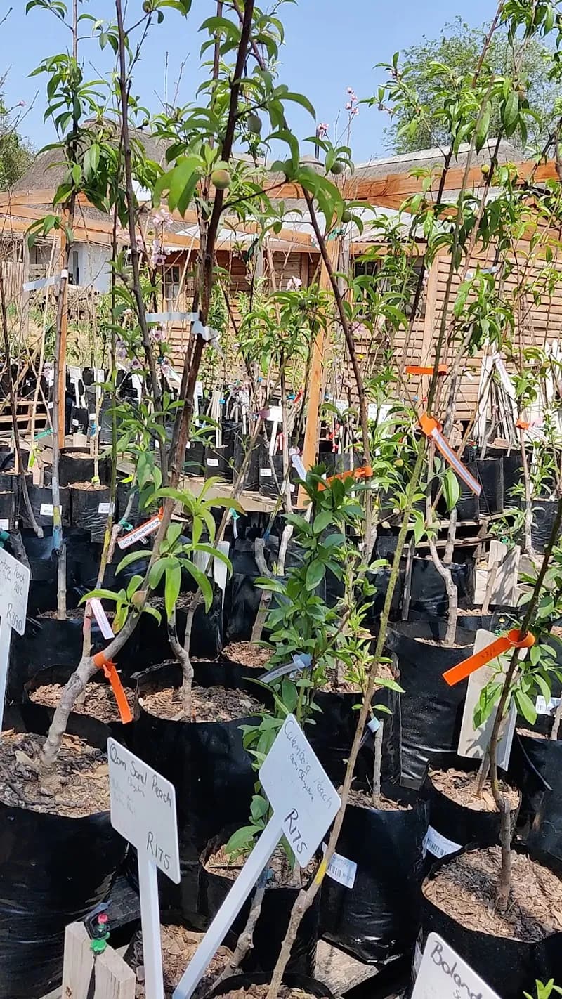 View of Kyalami Nursery and Garden Centre in Kyalami, GP