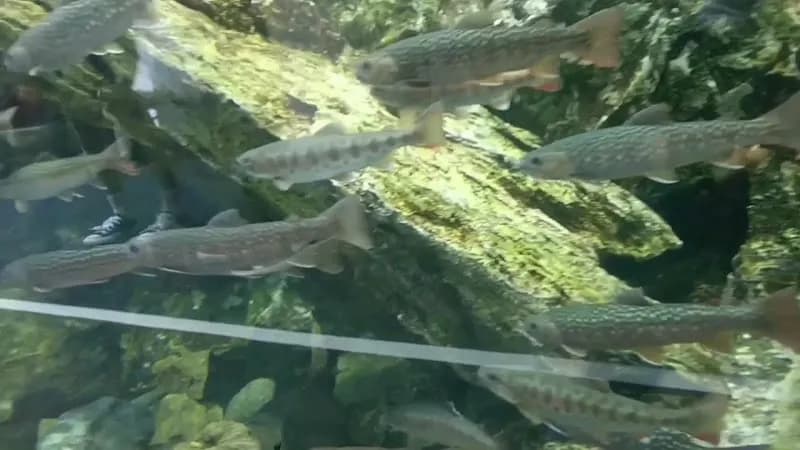 View of Kyoto Aquarium in Kyoto, KT