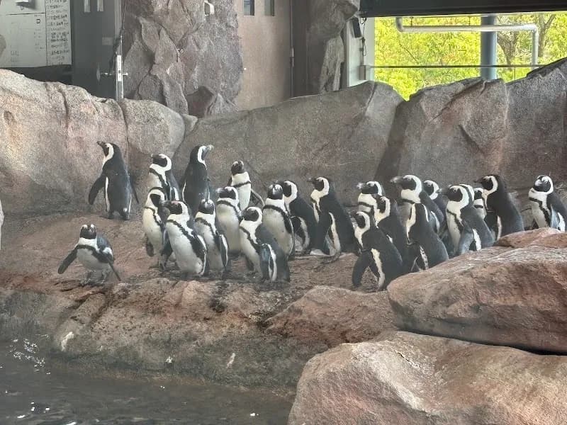 View of Kyoto Aquarium in Kyoto, KT