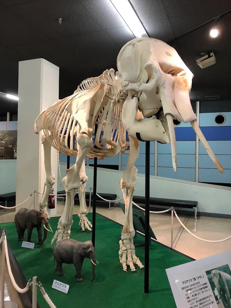 View of Kyoto Municipal Science Center for Youth in Kyoto, KT
