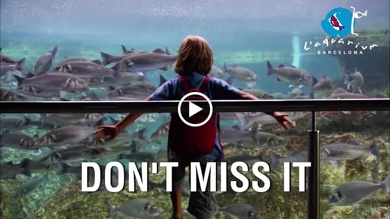 View of L’Aquàrium de Barcelona in Barcelona, CT
