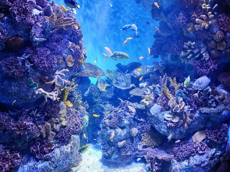 View of L’Aquàrium de Barcelona in Barcelona, CT