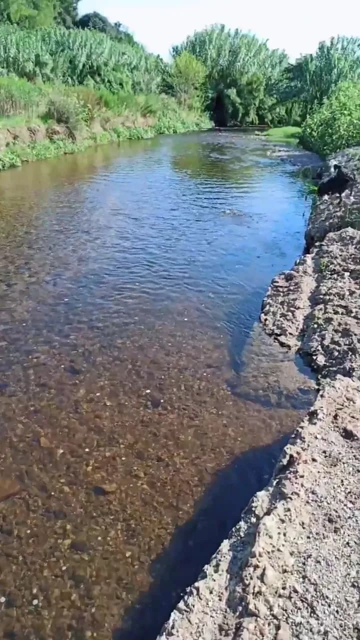 View of La Bassa - Parc Recreatiu de Sabadell in Sabadell, CT