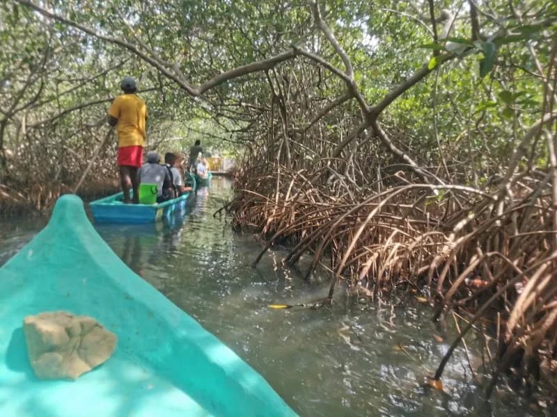 View of La Boquilla Traditional Village Tour in Cartagena, BOL