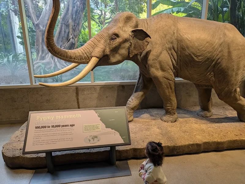 View of La Brea Tar Pits and Museum in Los Angeles, CA