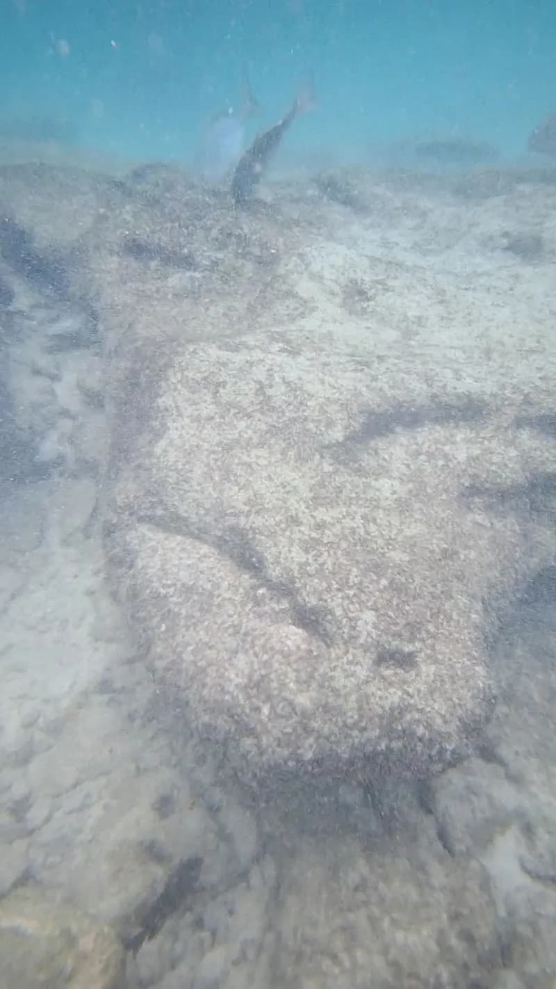 View of La Caleta Chemuyil in Chemuyil, QR