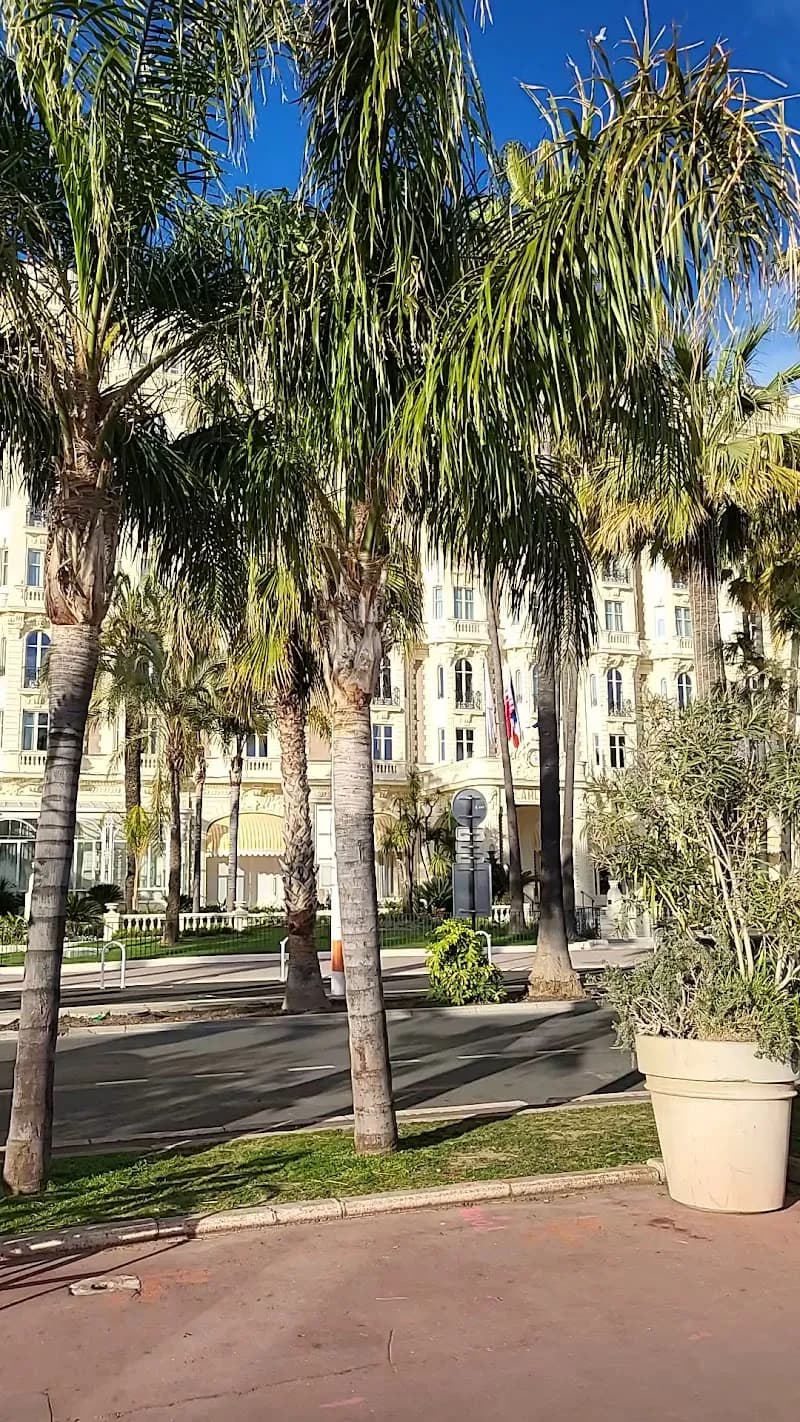 View of La Croisette - Cannes in Cannes, PACA