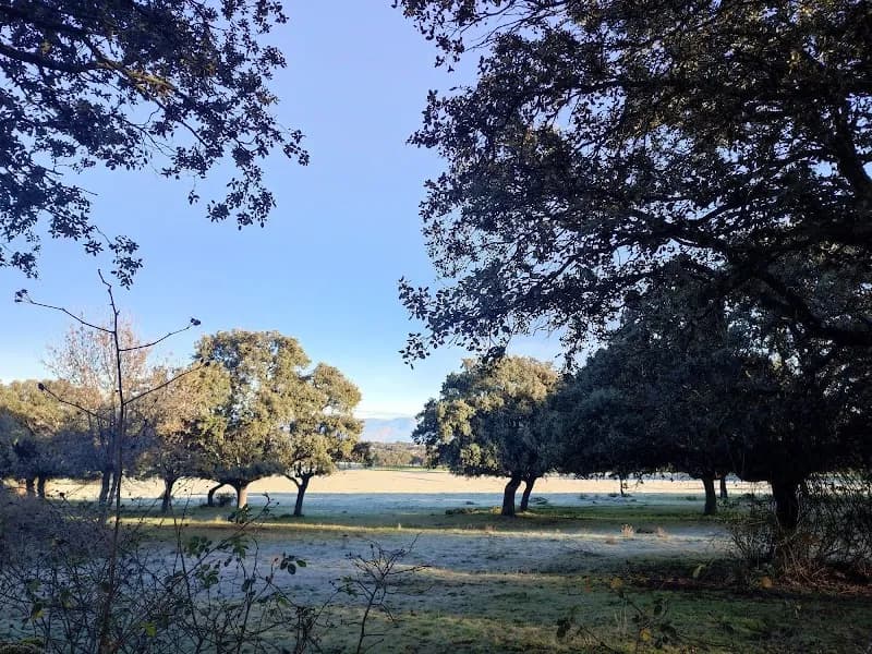 La dehesa vieja park in San Sebastián de los Reyes, Madrid
